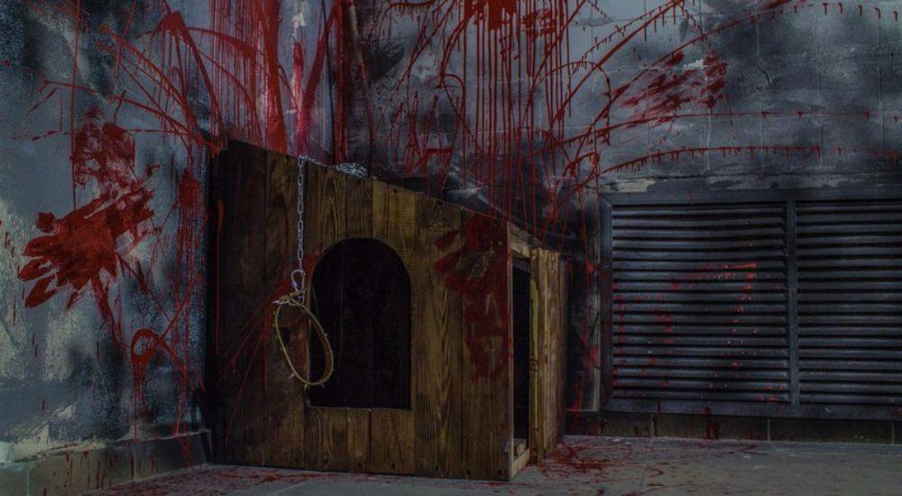 квест Хозяин в Орле фото 6