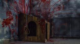 квест Хозяин в Орле фото 6